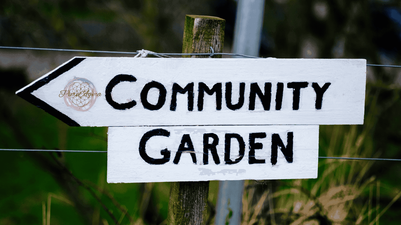 AO-Scan-Nederland-Europa-BioResonantie-Mapping AO Scan Noord-Holland logo – Inzicht in resonantie is het begin van herstel én vitaliteit”