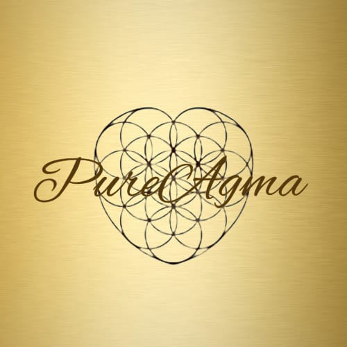 logo goud Moeder bedrijf van AO Scan Noord-Holland